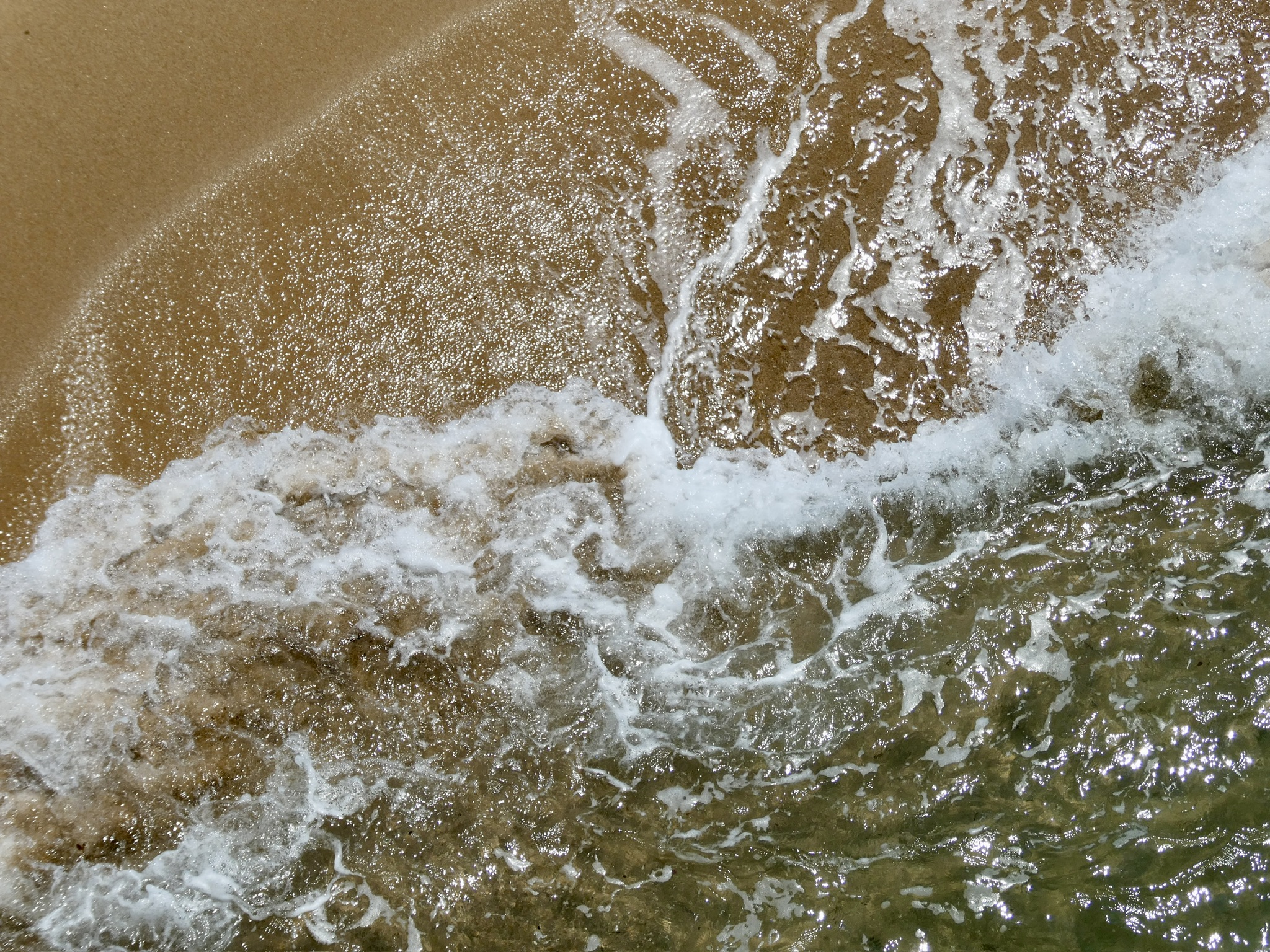 White sea foam forms delicate branching patterns over golden sand.
